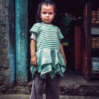 0008428 Editars 2